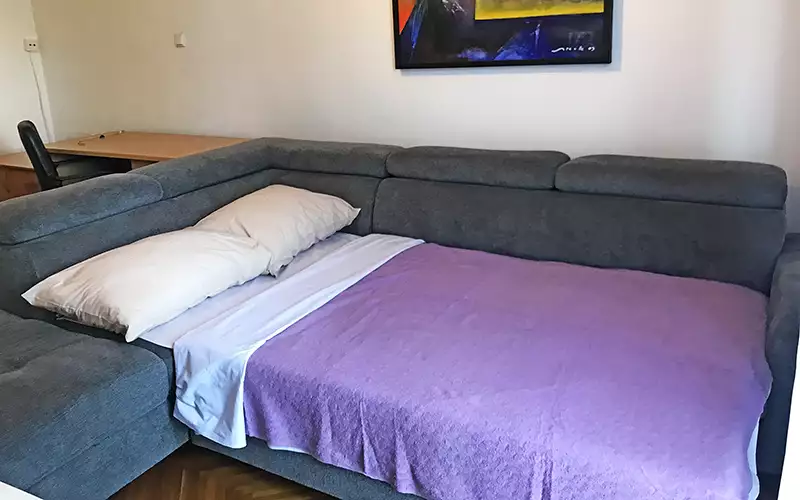 Living room — pull-out sofa